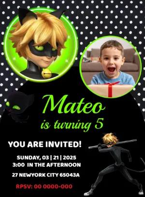 Editable Cat Noir Birthday Invitation Template with photo