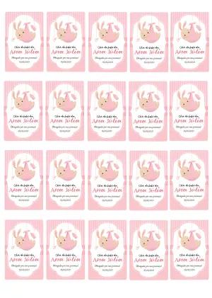 Tag Chá de Bebê Coelhinha Rosa para Editar e Imprimir