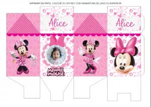 Festa Minnie Mouse: Caixa Milk com Foto para Editar Online