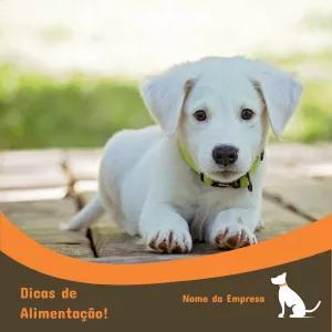 Post para Pet Shop com Cachorro Fofo Editável Online