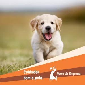 Post para Pet Shop com Filhote de Cão para Editar Online