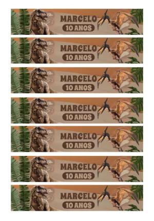 Rótulo de Garrafa Dinossauros para Aniversário para Editar