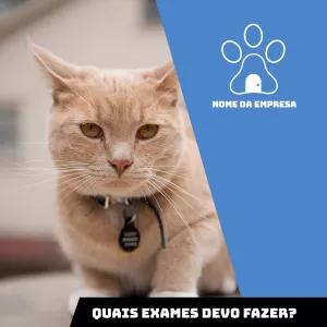 Arte Editável para Pet Shop sobre Exames Veterinários
