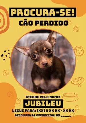Cartaz de Animal Perdido com Foto para Editar Online