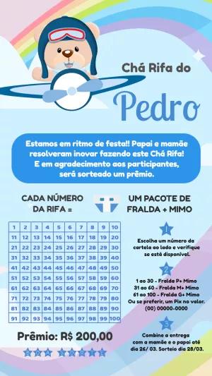 Rifa Chá de Bebê Ursinho Aviador para Editar Online