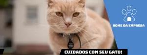 Banner Pet Shop com Foto de Gato para Editar Online