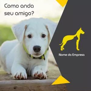 Post para Pet Shop e Veterinária com Cachorro para Editar Online