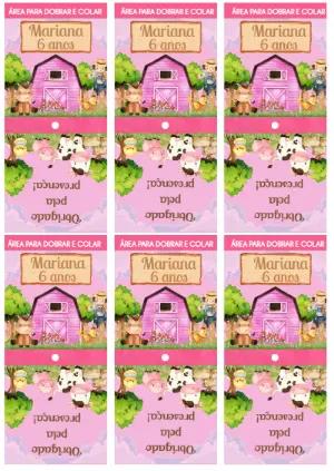 Capa para Pirulito Aniversário Fazendinha Rosa para Editar