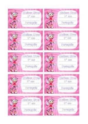 Etiqueta Escolar Editável Amy Rose Tema Sonic Rosa