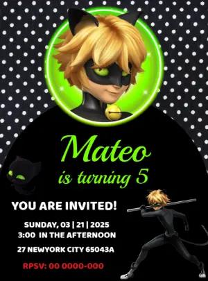 Cat Noir Birthday Invitation Editable Online