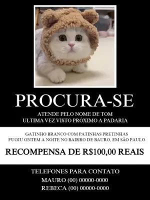 Cartaz de Animal Perdido com Foto para Editar Online