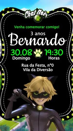 Convite de Aniversário Chat Noir Miraculous Editável