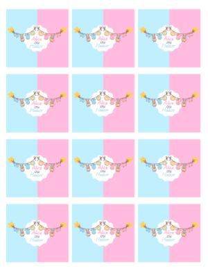 Adesivo para Bala Personalizada Chá de Revelação Coelhinhos Azul e Rosa para Editar