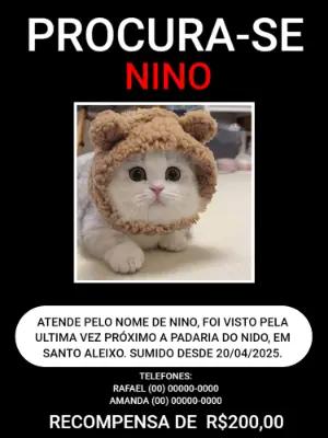 Cartaz de Animal Desaparecido com Foto para Editar Online