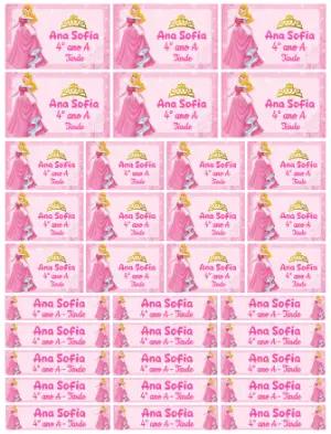 Kit de Etiquetas Escolares Princesa Aurora Editável